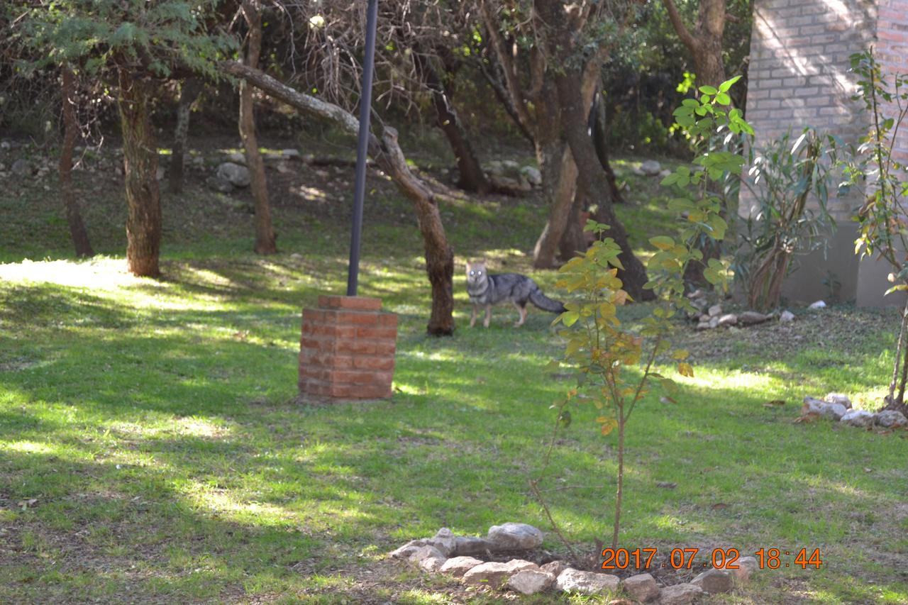 Cabanas Del Bosque Villa Merlo Eksteriør billede